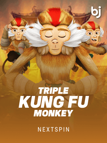 ট্রিপল কুংফু মাঙ্কি game thumbnail
